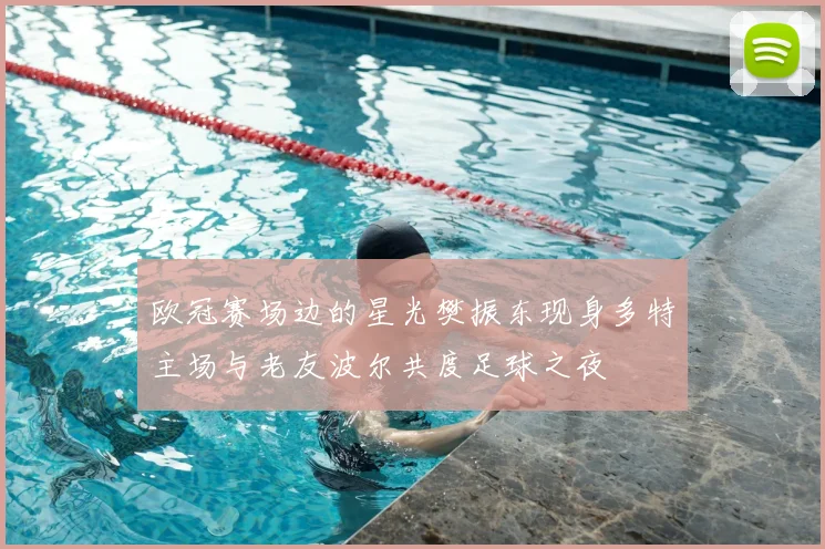 欧冠赛场边的星光樊振东现身多特主场与老友波尔共度足球之夜